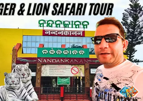 Nandankanan Zoological Park   3rd Largest Zoo of India | Bhubaneswar | Tiger & Lion Safari Tour