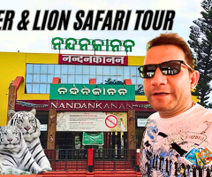 Nandankanan Zoological Park   3rd Largest Zoo of India | Bhubaneswar | Tiger &amp; Lion Safari Tour / 1