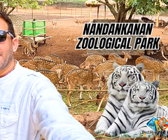 Nandankanan Zoological Park   3rd Largest Zoo of India | Bhubaneswar | Tiger &amp; Lion Safari Tour / 2