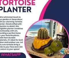 TORTOISE PLANTER