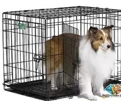 Pet Shop stock available for bulk buy sale - Call 9699999338 / 3