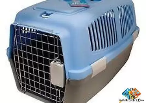 Large Plastic Carrier Crate for Small Animals, Blue