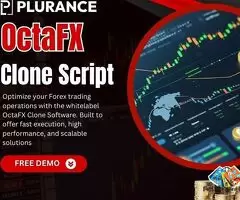 Stay Connected: Your Forex Trading Solution with OctaFX Clone